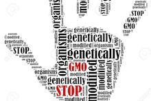 Word cloud against GMOs in the shape of a hand